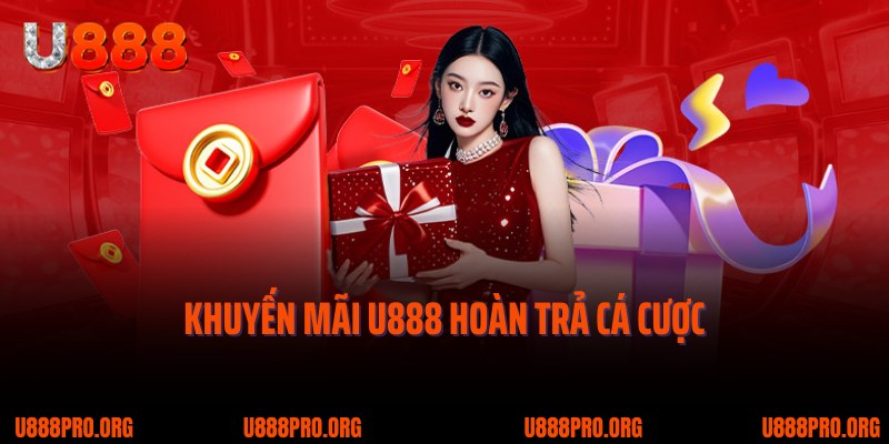 Khuyến Mãi U888 - Sự Kiện Hấp Dẫn, Nhận Thưởng Cực Lớn 2 Khuyến mãi U888 hoàn trả cá cược cực hấp dẫn lên đến 4%