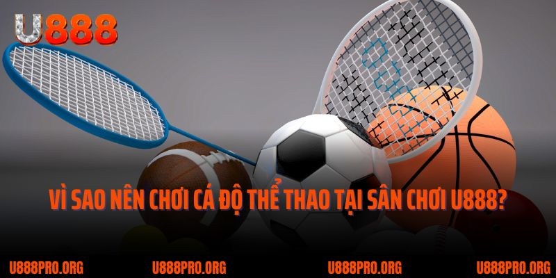 Bứt Phá Giới Hạn Cùng U888 Thể Thao – Cơ Hội Sinh Lời Mỗi Ngày 1 Vì sao nên chơi cá độ thể thao tại sân chơi U888?