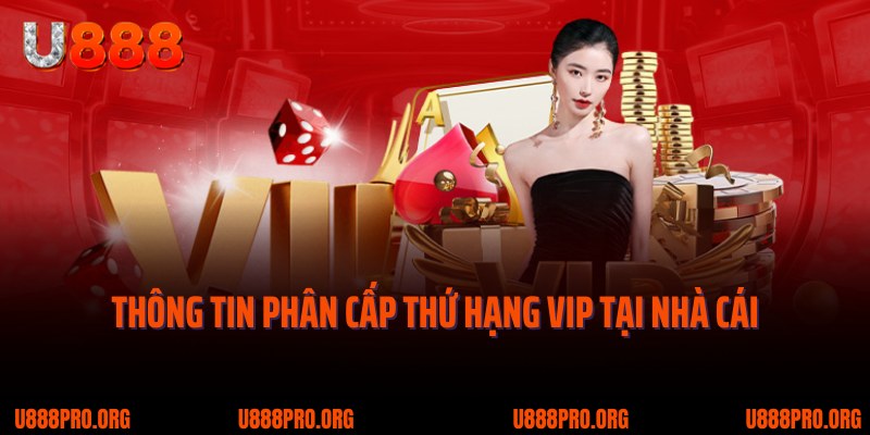 VIP U888: Ưu Đãi Đặc Biệt Cho Hội Viên Cá Cược Trung Thành 2 Thông tin phân cấp thứ hạng VIP tại nhà cái cá cược U888