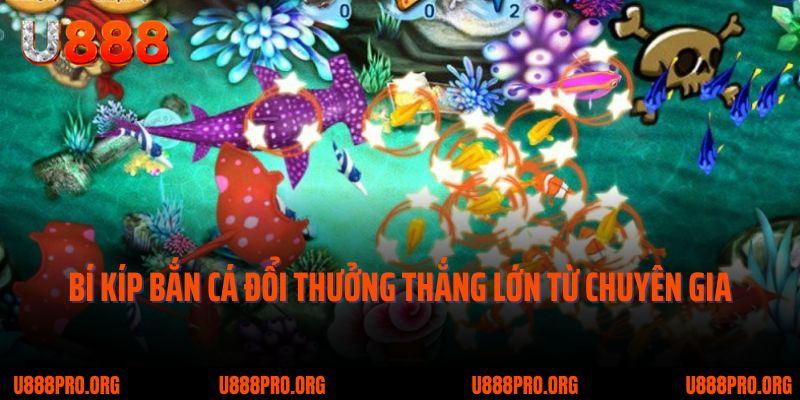Bắn Cá Đổi Thưởng U888 – Kinh Nghiệm Vàng Giúp Bạn Luôn Dẫn Trước 2 Bí kíp bắn cá đổi thưởng thắng lớn từ chuyên gia