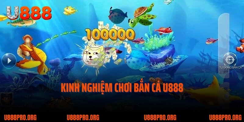 Bắn Cá U888 – Trải Nghiệm Hứng Khởi Không Ngừng Nghỉ 4 Kinh nghiệm chơi bắn cá U888