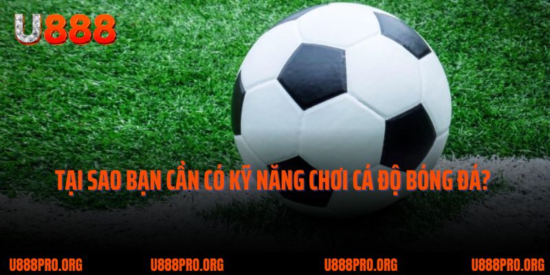 Bật Mí Kỹ Năng Cá Độ Bóng Đá U888 Luôn Thắng Từ Chuyên Gia 1 Tại sao bạn cần có kỹ năng chơi cá độ bóng đá?