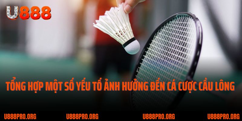 Đặt Cược Cầu Lông U888 – Chơi Nhanh, Lợi Nhuận Lớn 2 Tổng hợp một số yếu tố ảnh hưởng đến cá cược cầu lông