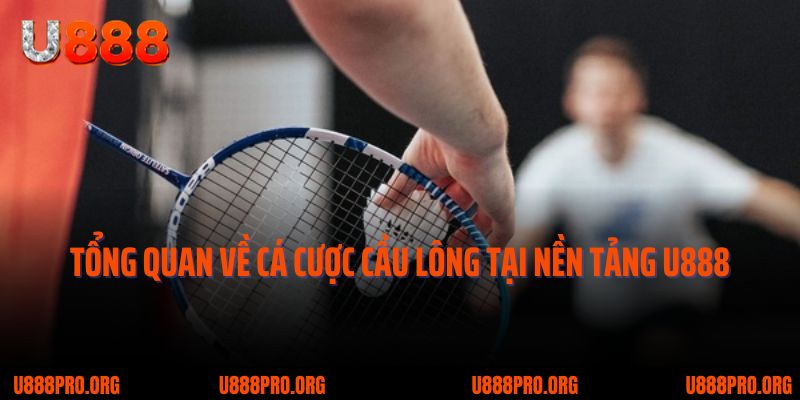 Đặt Cược Cầu Lông U888 – Chơi Nhanh, Lợi Nhuận Lớn 3 Tổng quan về cá cược cầu lông tại nền tảng U888