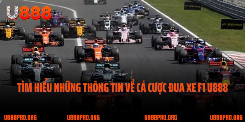 Hướng Dẫn Cá Cược Đua Xe F1 U888 Hấp Dẫn Không Thể Bỏ Qua 1 Tìm hiểu những thông tin về cá cược đua xe F1 U888
